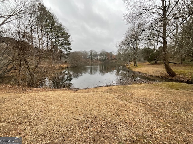 view of water feature