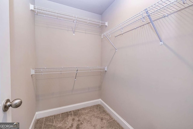 spacious closet featuring carpet floors