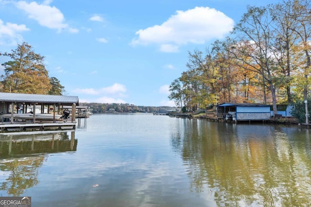 dock area with a water view