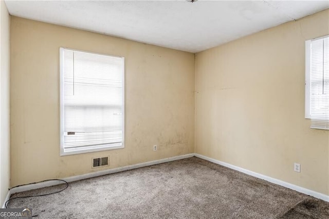 spare room with plenty of natural light and carpet floors