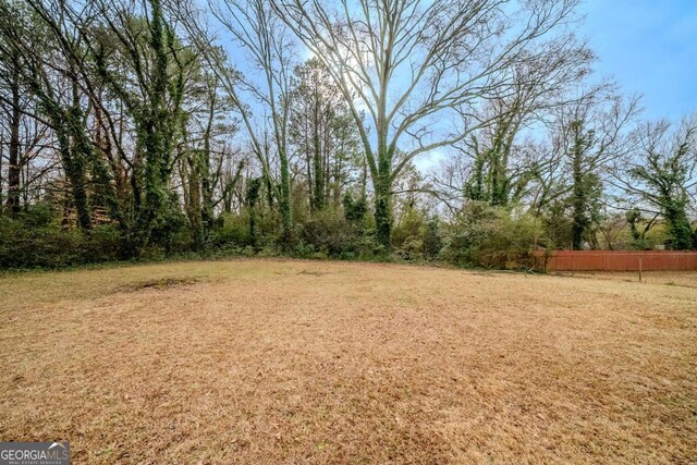 3693 Aldea Dr, Decatur, GA 30032 - view of yard