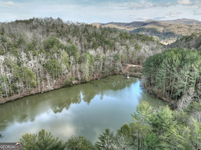 view of water feature with a mountain view