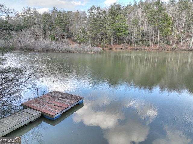 view of dock with a water view