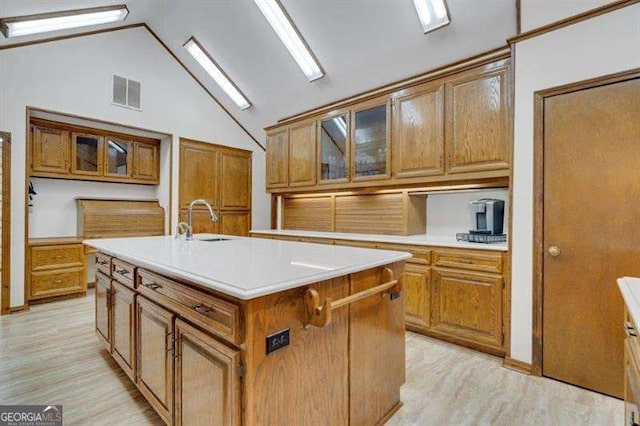 kitchen featuring lofted ceiling, sink, an island with sink, and light wood-type flooring