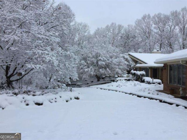 view of yard covered in snow