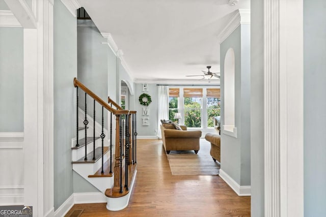 foyer with ceiling fan, ornamental molding, and hardwood / wood-style floors