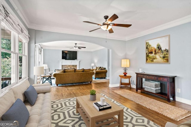 living room with a fireplace, ornamental molding, light hardwood / wood-style floors, and plenty of natural light