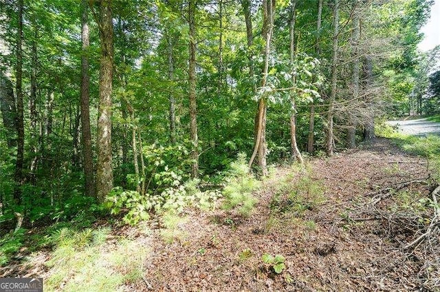 0 Old Miller Rock Rd, Ellijay GA, 30540 land for sale