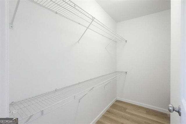 spacious closet featuring light hardwood / wood-style flooring