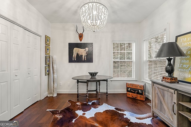 sitting room featuring an inviting chandelier, plenty of natural light, and dark hardwood / wood-style floors