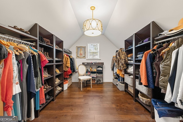 spacious closet featuring vaulted ceiling and dark wood-type flooring