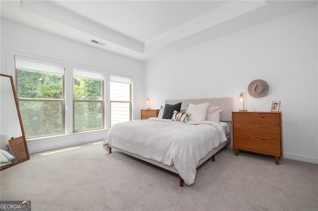 carpeted bedroom featuring a tray ceiling