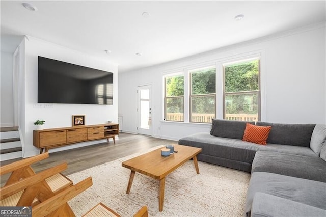 living room with light hardwood / wood-style flooring