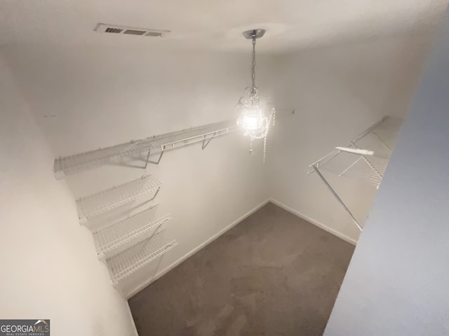 spacious closet with dark colored carpet