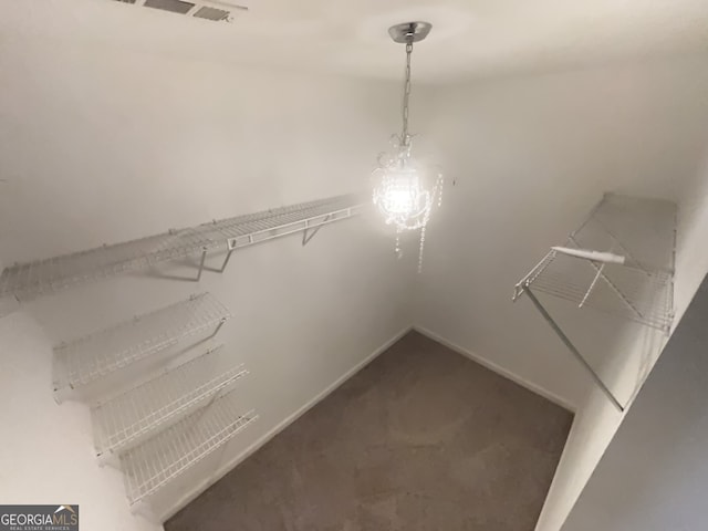 spacious closet with carpet