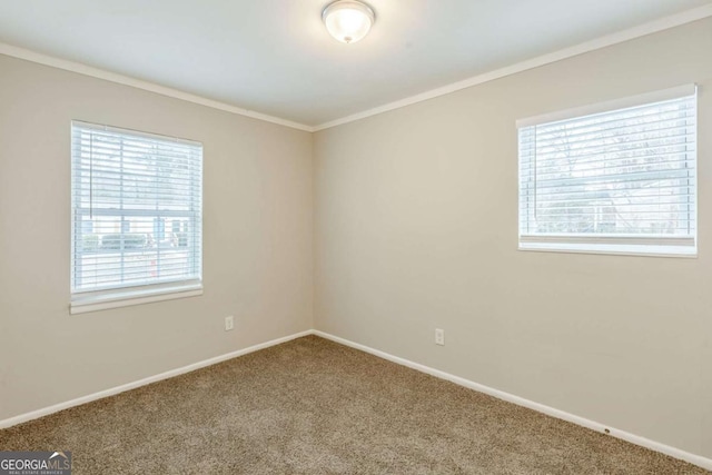 spare room with crown molding, carpet floors, and a wealth of natural light