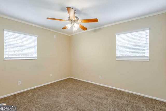 unfurnished room with crown molding, ceiling fan, and carpet