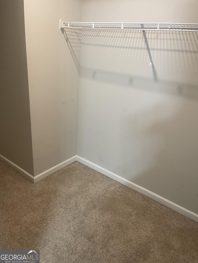 walk in closet with carpet floors