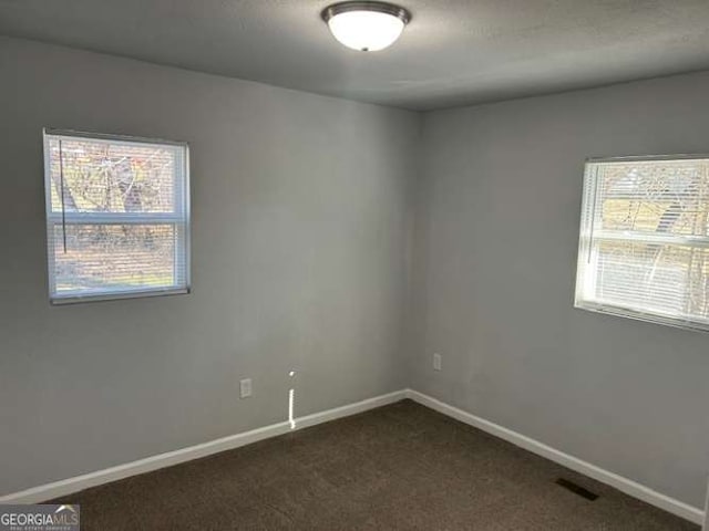 carpeted spare room featuring a wealth of natural light