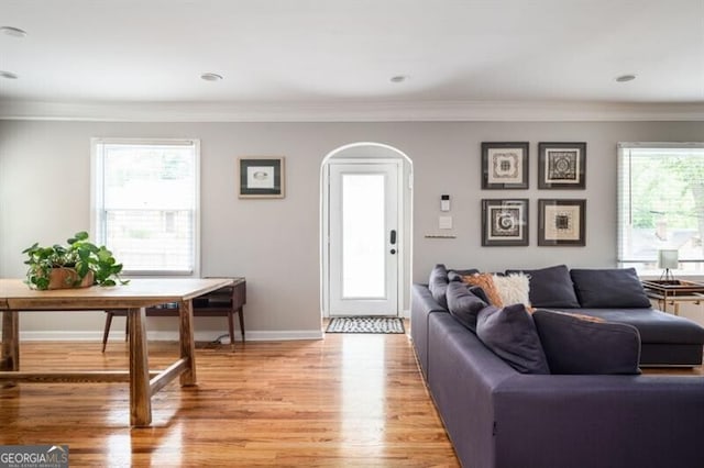 living room featuring ornamental molding and wood-type flooring