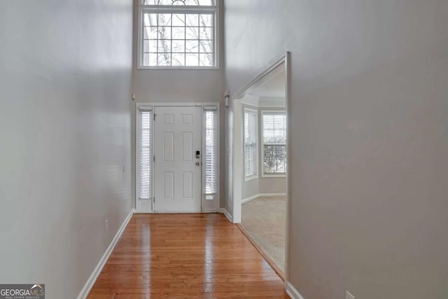 foyer entrance with a high ceiling and light hardwood / wood-style flooring