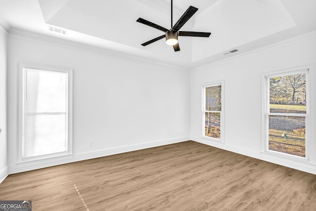 spare room with a healthy amount of sunlight, a tray ceiling, and light wood-type flooring