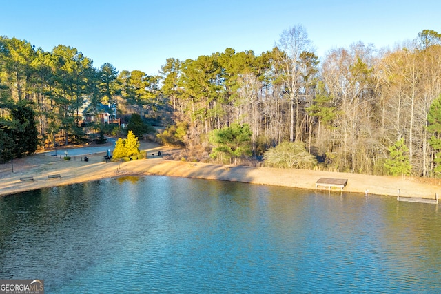 property view of water