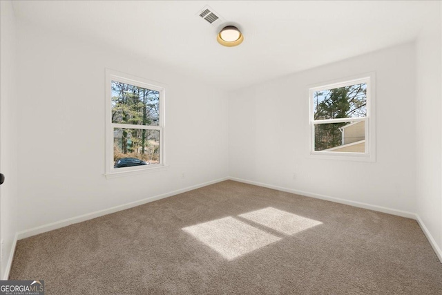 unfurnished room featuring carpet floors and a wealth of natural light