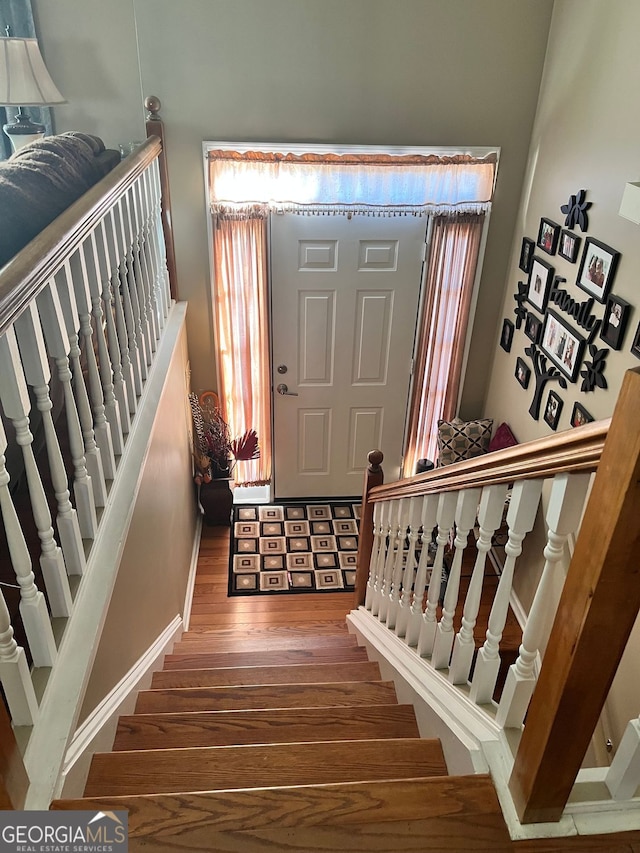 entrance foyer featuring wood-type flooring