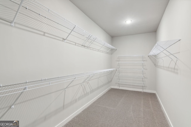 walk in closet with carpet flooring