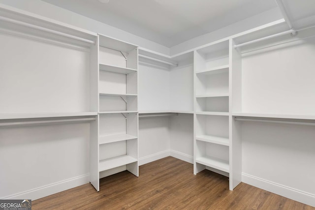 walk in closet featuring hardwood / wood-style flooring