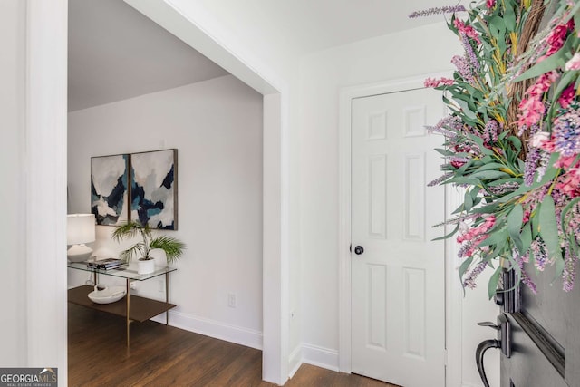 entryway featuring dark hardwood / wood-style flooring