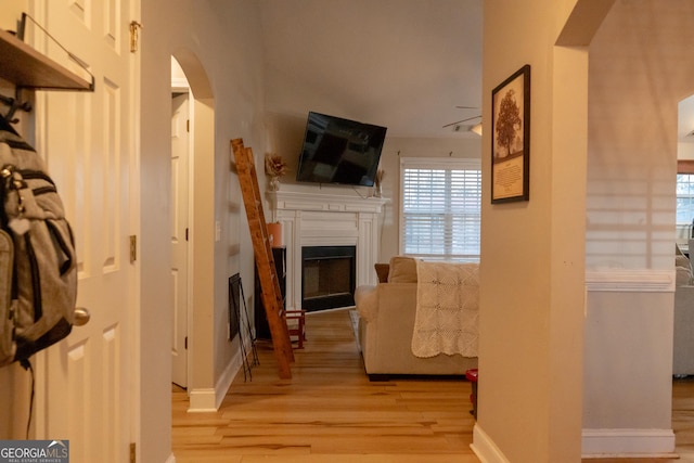 living room featuring light hardwood / wood-style floors