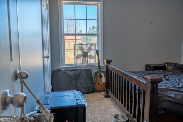 bedroom featuring carpet floors