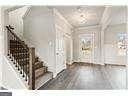 foyer entrance with dark hardwood / wood-style floors