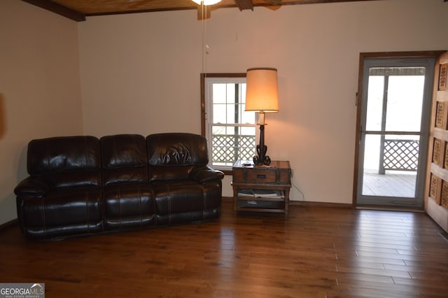 living room featuring dark wood-type flooring