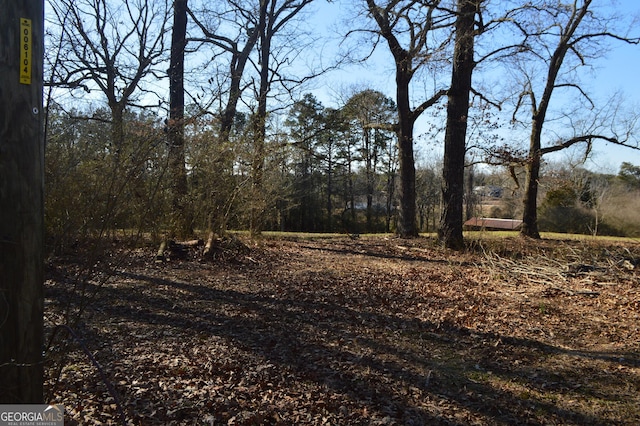 view of local wilderness