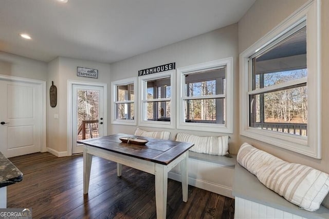 dining space featuring plenty of natural light, dark wood finished floors, and baseboards