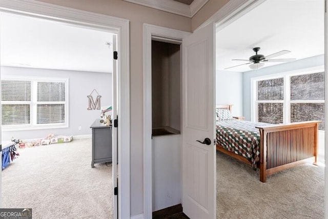 bedroom with ceiling fan and carpet flooring