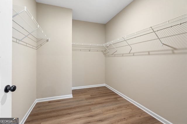 walk in closet featuring hardwood / wood-style floors