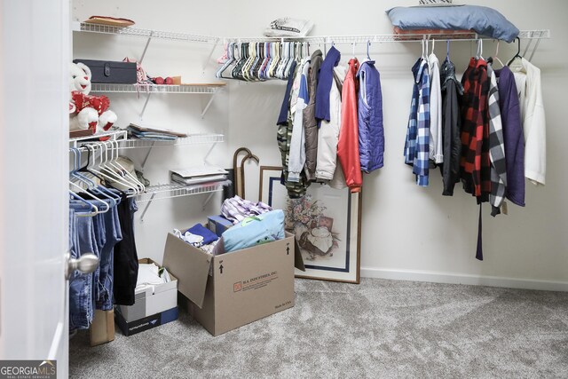 spacious closet featuring light carpet