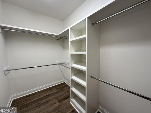 walk in closet with dark hardwood / wood-style flooring