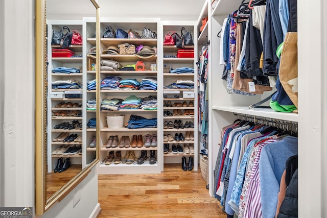 spacious closet with wood-type flooring