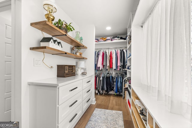 spacious closet with wood-type flooring