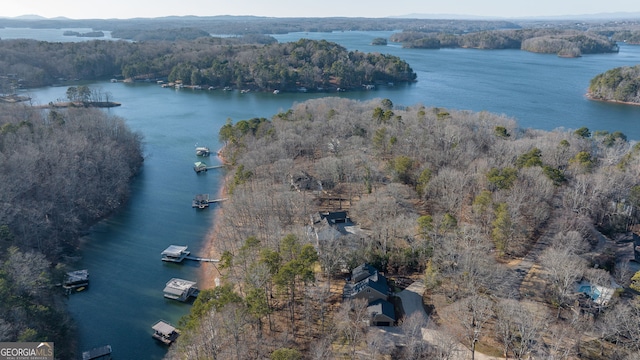 bird's eye view featuring a water view