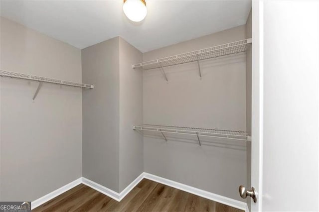 walk in closet with dark hardwood / wood-style flooring