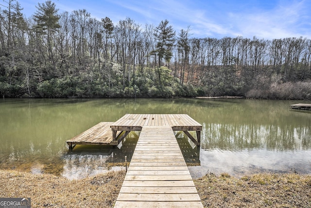 dock area featuring a water view