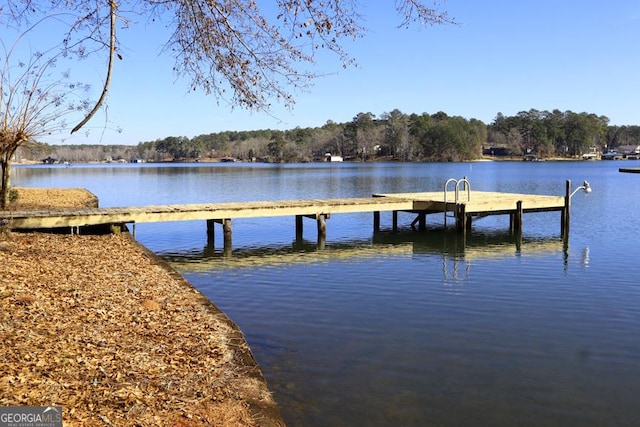 dock area featuring a water view