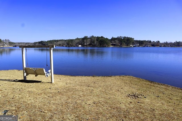 dock area with a water view