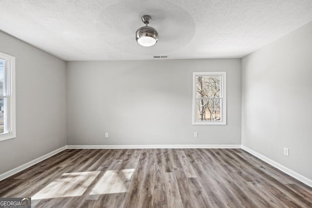 empty room featuring wood-type flooring, plenty of natural light, and a textured ceiling